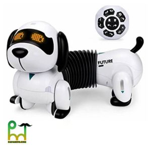 ربات سگ کنترلی مدل K22