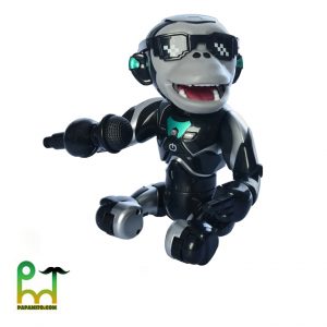 ربات میمون اسپیکری مدل Q2